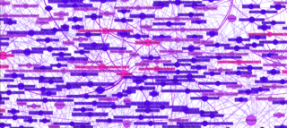 Conceptual Continuity Map