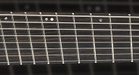 A Closer Look: LTD M-1007/M-1008 Multi-Scale