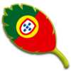 Luca F.