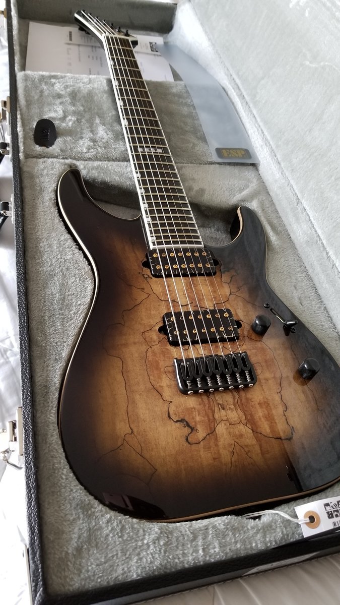 NGD: E-II M-II-7 NT Hipshot DBNB