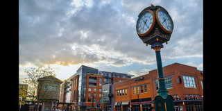 Bites, Brews, and things to Do