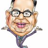 narayan p.