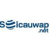 soicauwap1