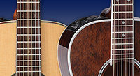 12-Fret vs. 14-Fret Guitar Styles: Which Is Right for You?