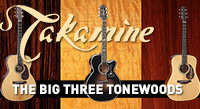 Tonewood Basics: The "Big Three"