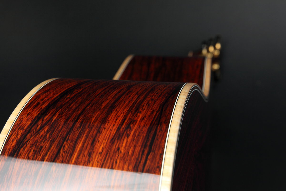 Specialty Shop Guitars - Takamine